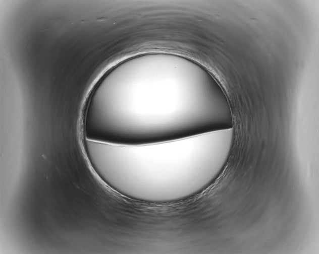 X0000098181531200804241020