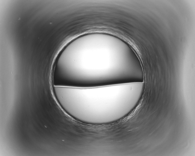 X0000098181533200804241020