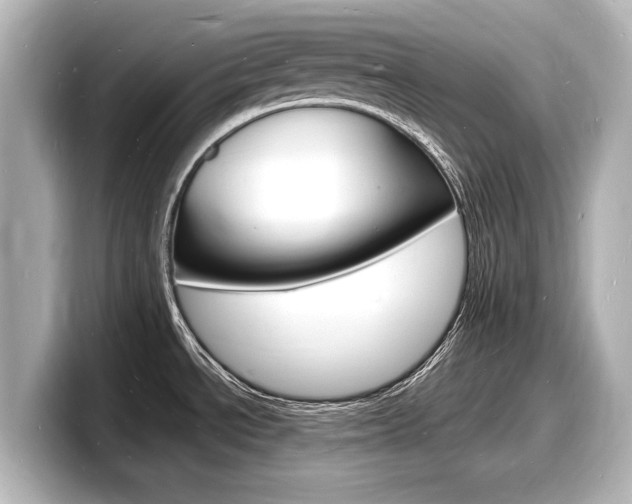 X0000098181534200804241020