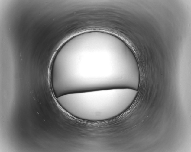 X0000098181535200804241020