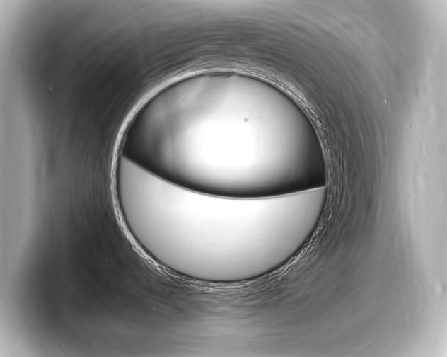 X0000098181536200804241020