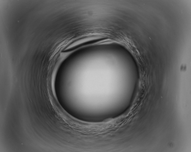 X0000098180001200804241232