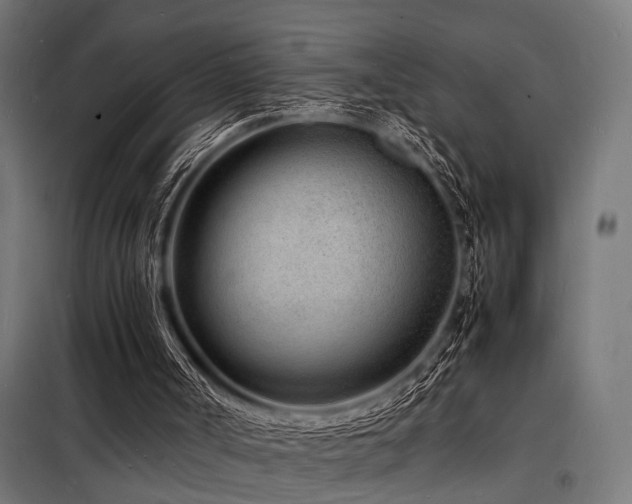 X0000098180002200804241232