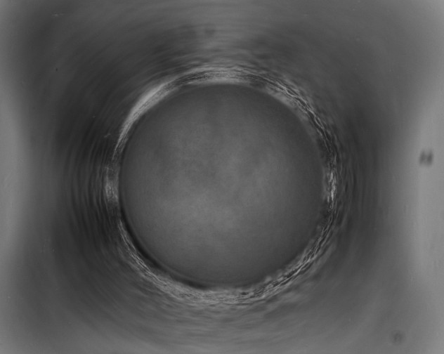 X0000098180004200804241232