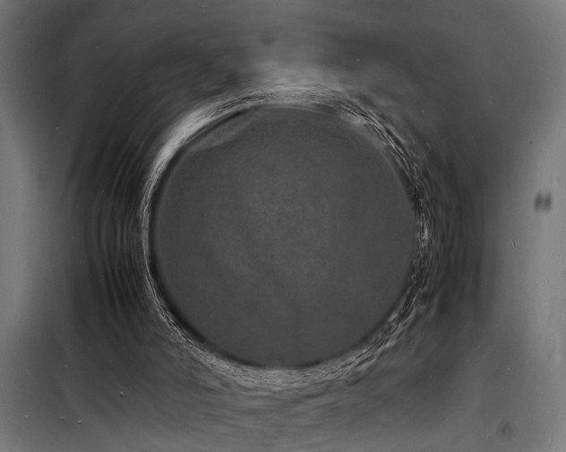 X0000098180006200804241232