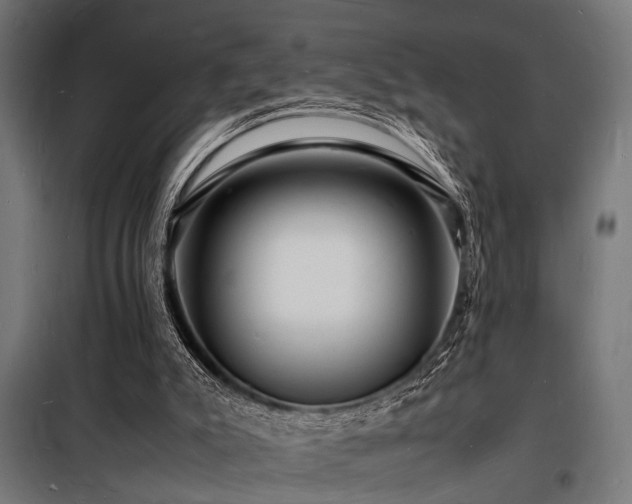 X0000098180007200804241232