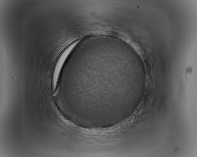 X0000098180009200804241232