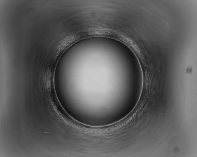 X0000098180010200804241232