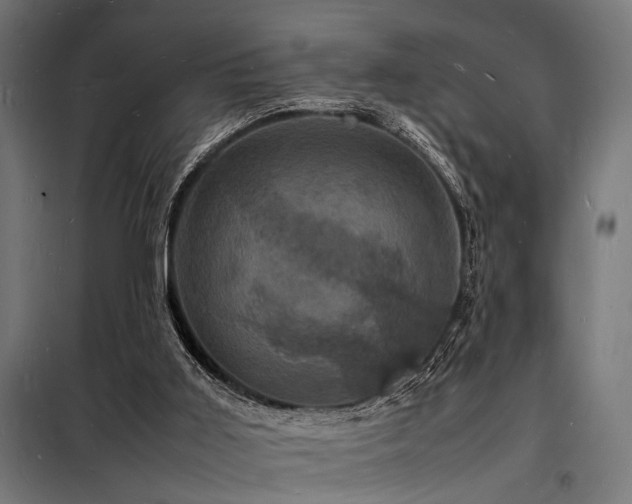 X0000098180011200804241232