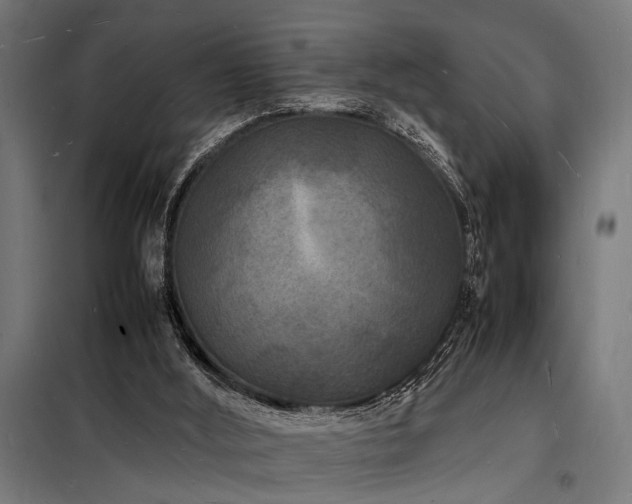 X0000098180012200804241232