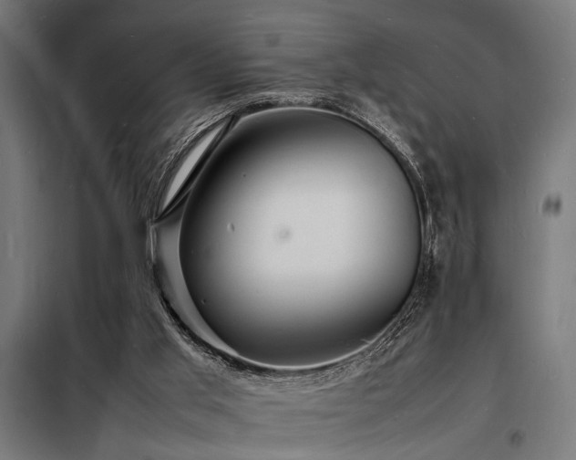 X0000098180013200804241232
