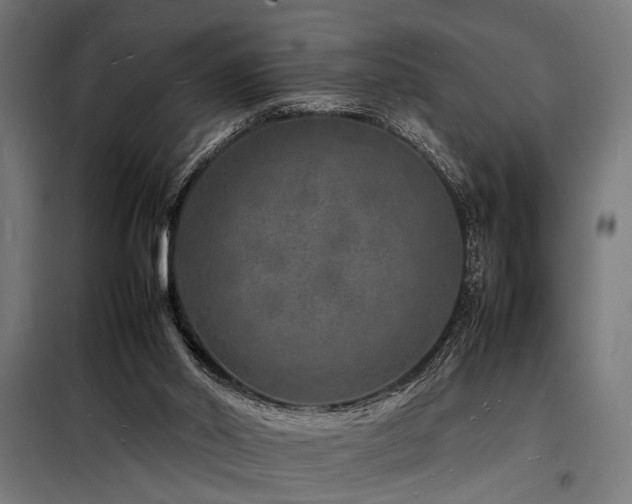 X0000098180014200804241232
