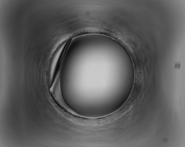 X0000098180015200804241232