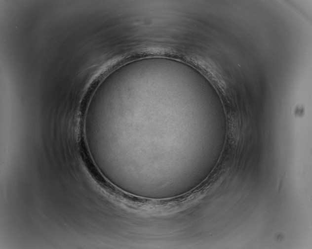 X0000098180016200804241232