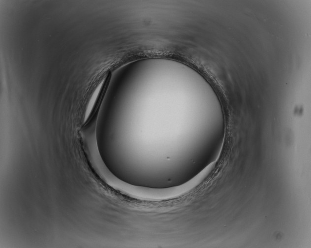 X0000098180017200804241232