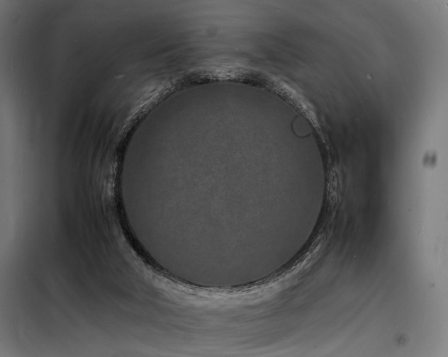 X0000098180018200804241231