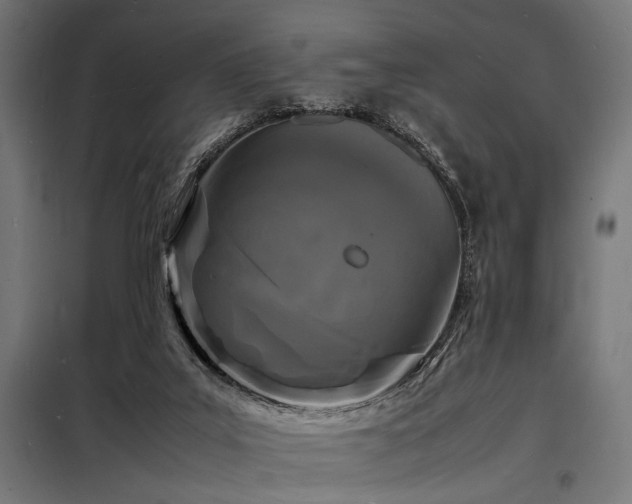 X0000098180019200804241231