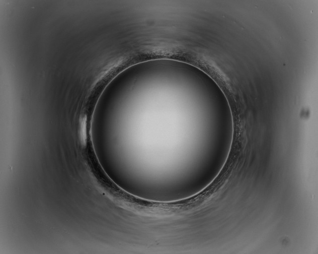 X0000098180020200804241231