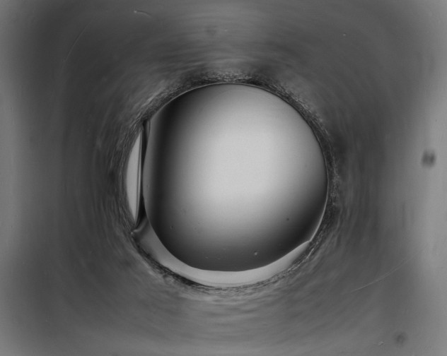X0000098180021200804241231
