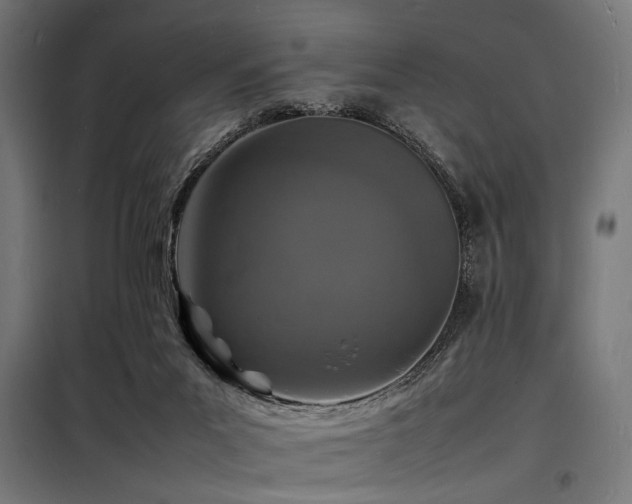 X0000098180023200804241231