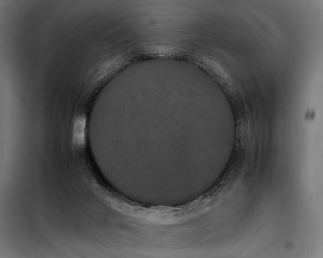 X0000098180024200804241231