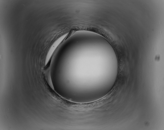 X0000098180025200804241231