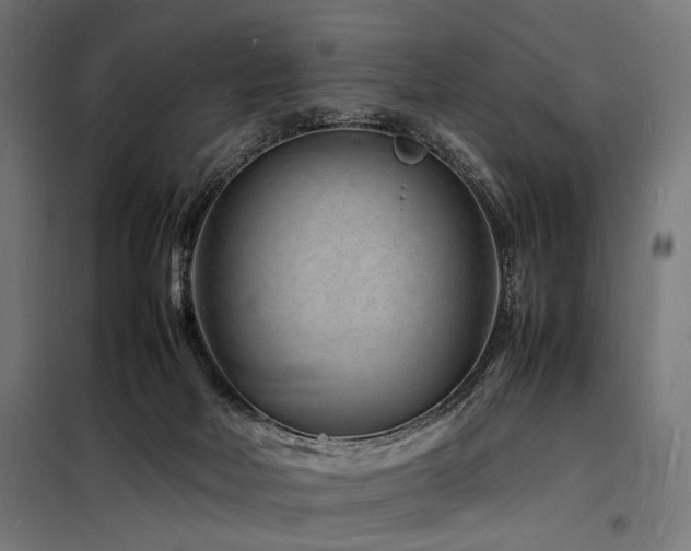 X0000098180026200804241231