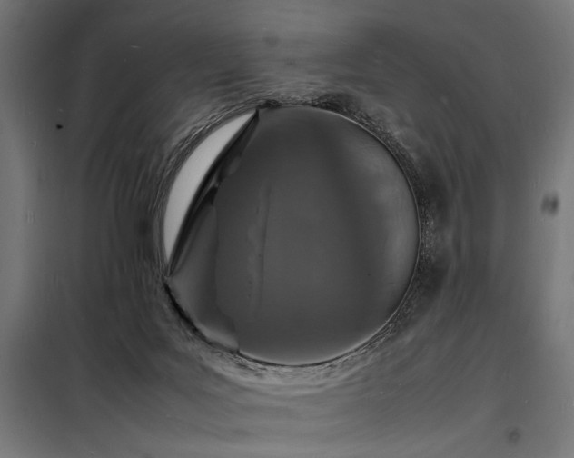 X0000098180027200804241231