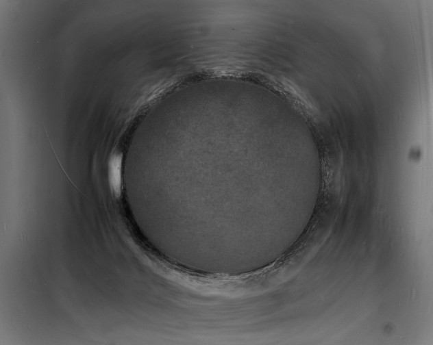 X0000098180028200804241231