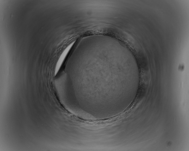 X0000098180029200804241231