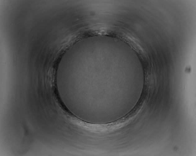 X0000098180030200804241231