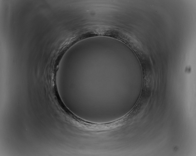 X0000098180031200804241231