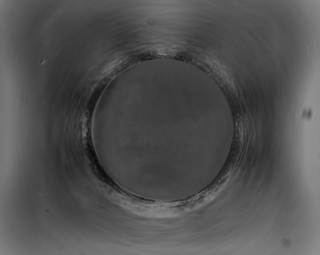 X0000098180032200804241231