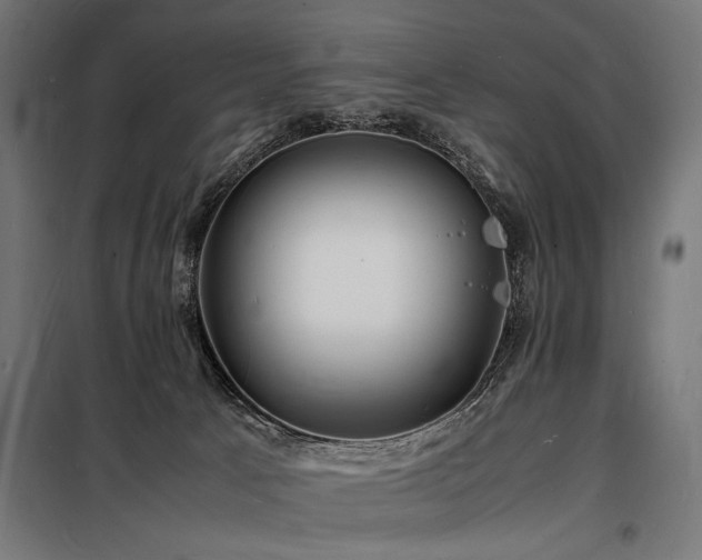 X0000098180033200804241231