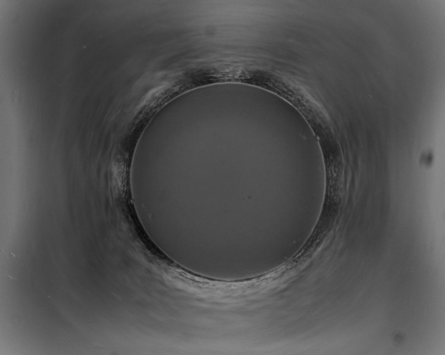 X0000098180035200804241231