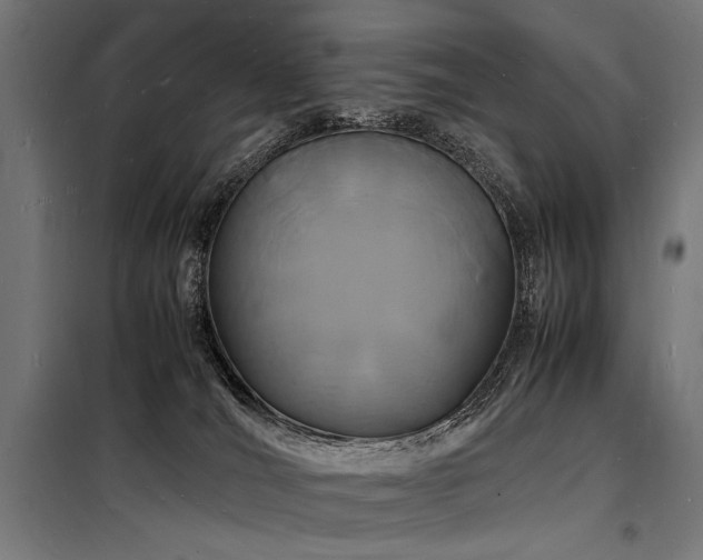 X0000098180036200804241231