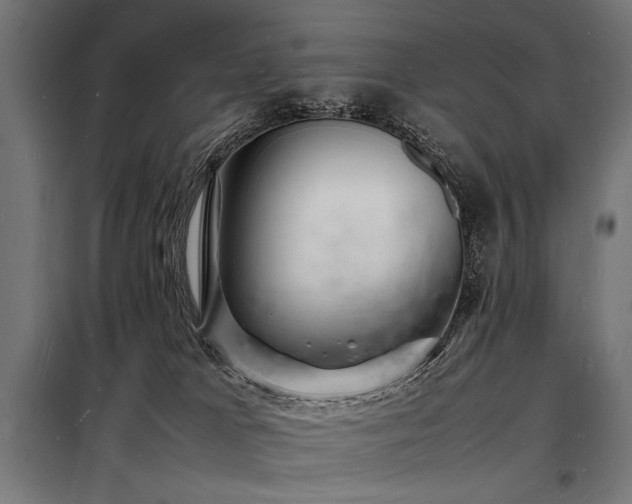 X0000098180037200804241231