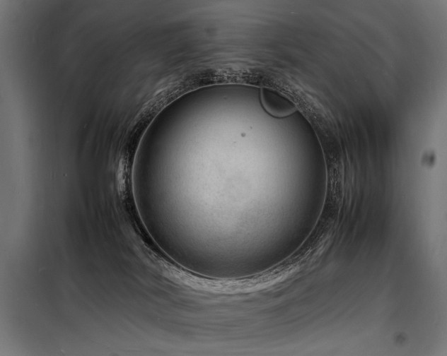 X0000098180038200804241231