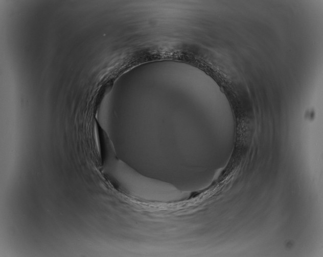 X0000098180039200804241231