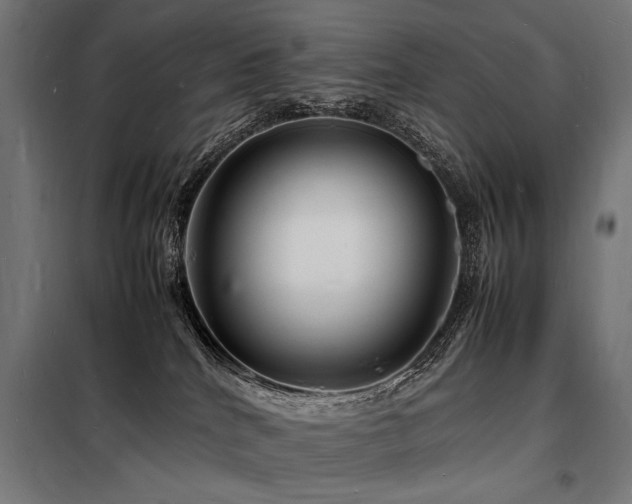 X0000098180040200804241231