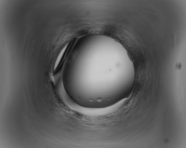 X0000098180041200804241231