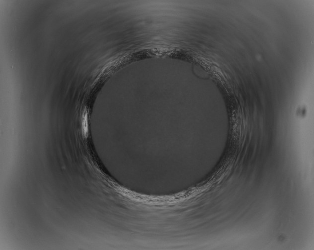 X0000098180042200804241231