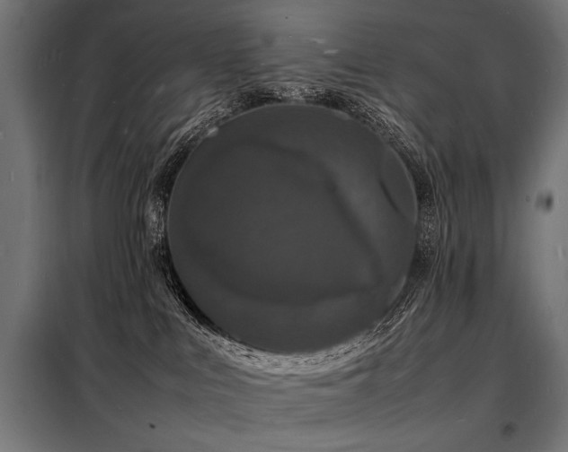 X0000098180043200804241231