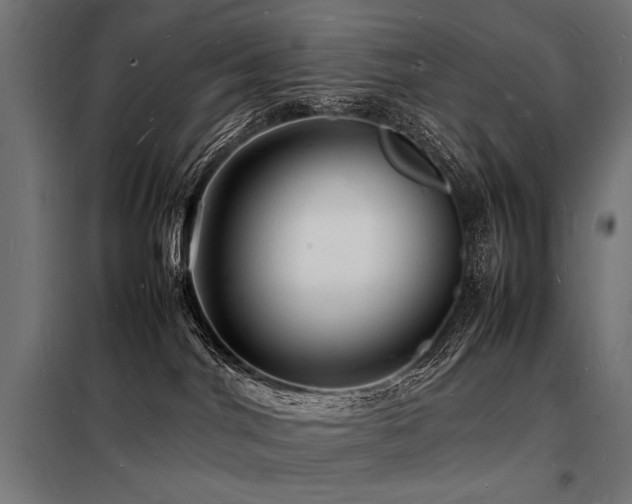 X0000098180044200804241231