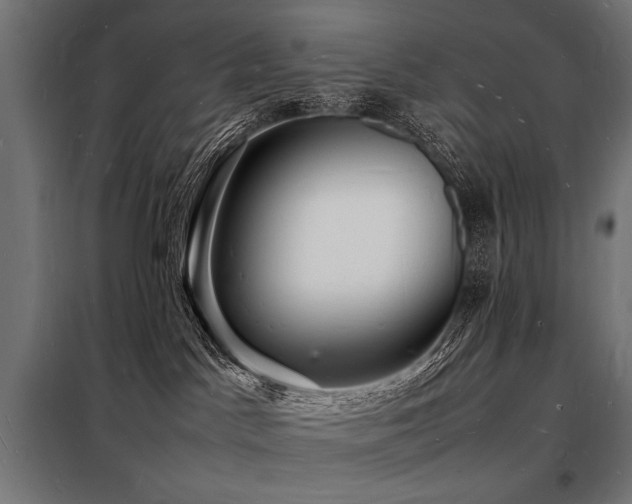X0000098180045200804241231