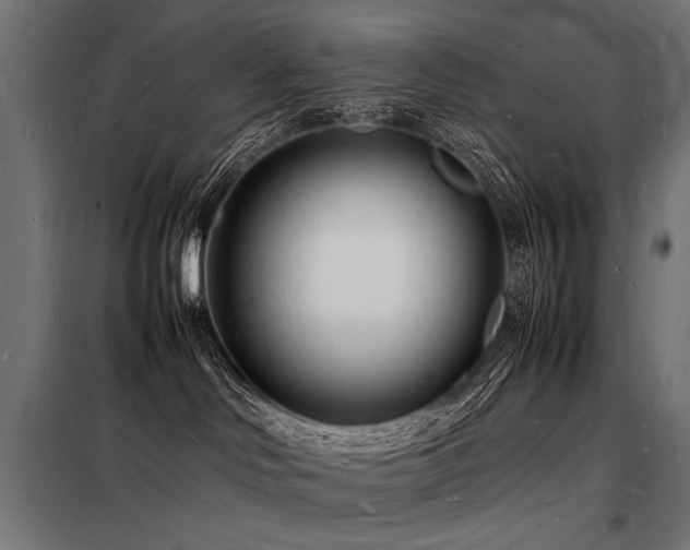 X0000098180046200804241231