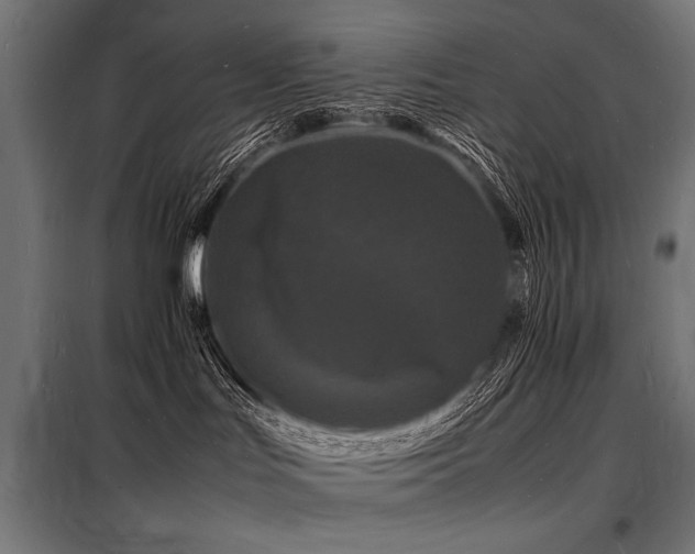 X0000098180047200804241231