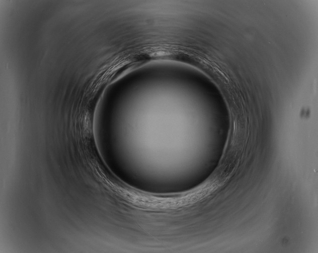 X0000098180048200804241231