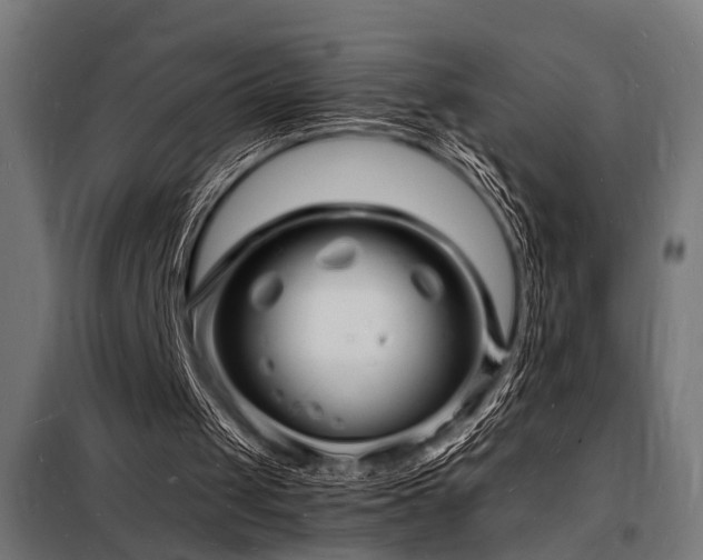 X0000098180049200804241230