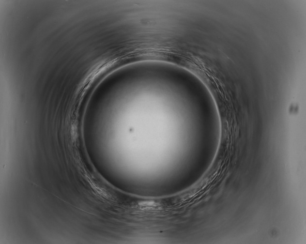 X0000098180050200804241230